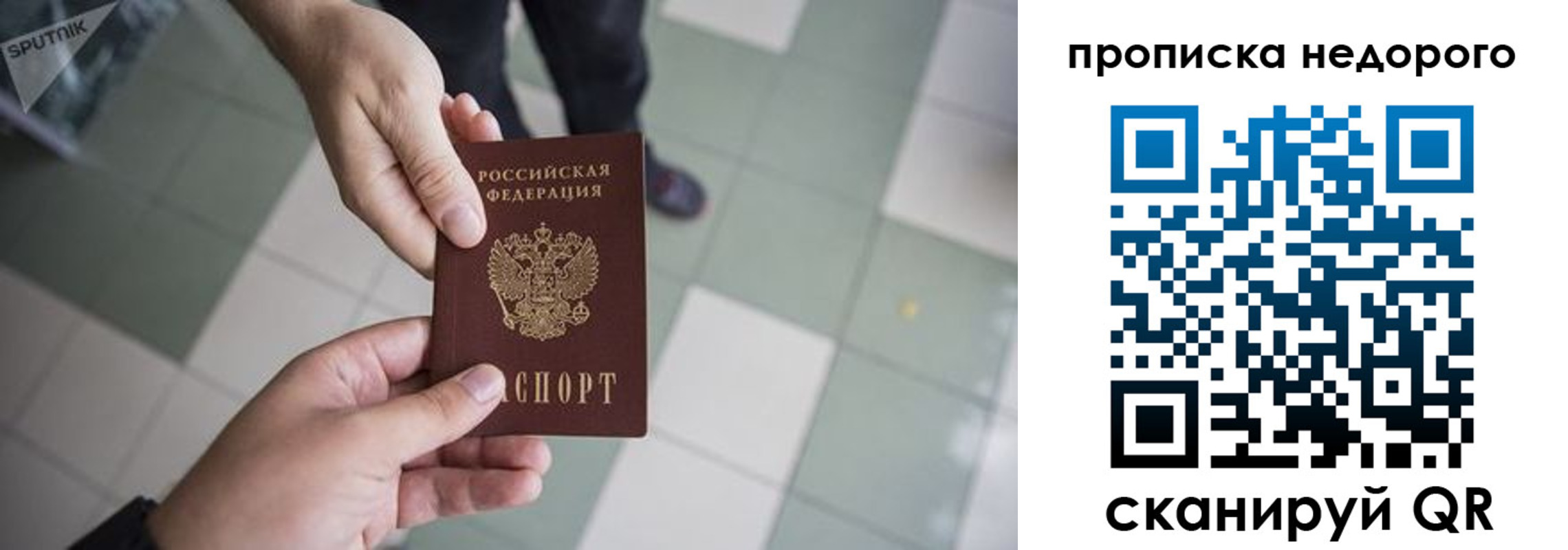 прописка в квартире в Александрове